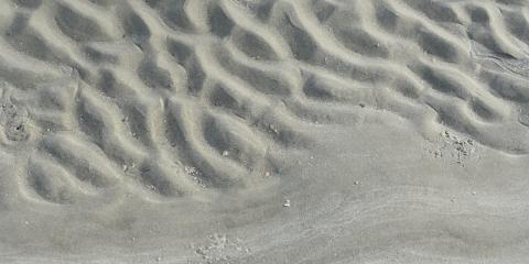 North Myrtle Beach Travel Guide | Beaches, Things to Do & Areas